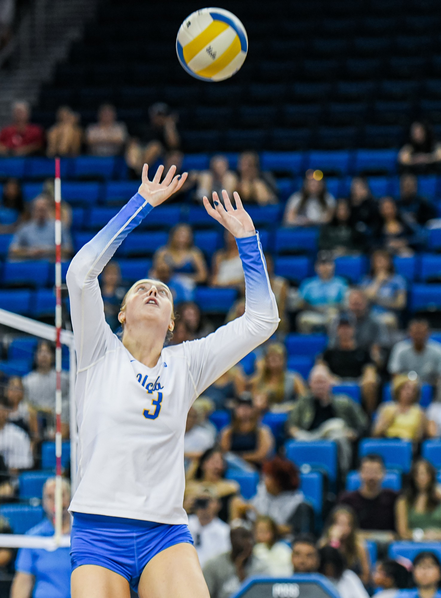 (Pranav Akella/Daily Bruin staff)