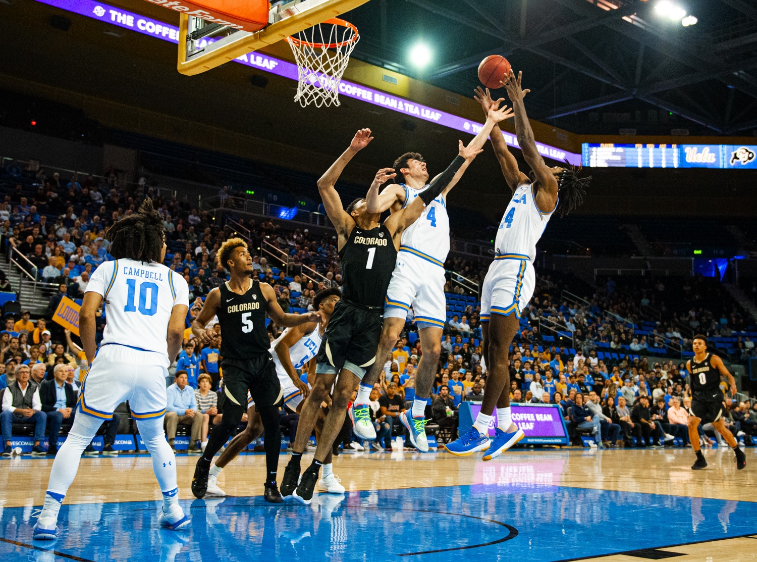 Gallery: UCLA men’s basketball upsets Colorado at home - Daily Bruin