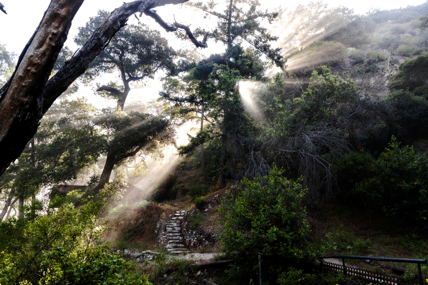 Dixie Canyon Park