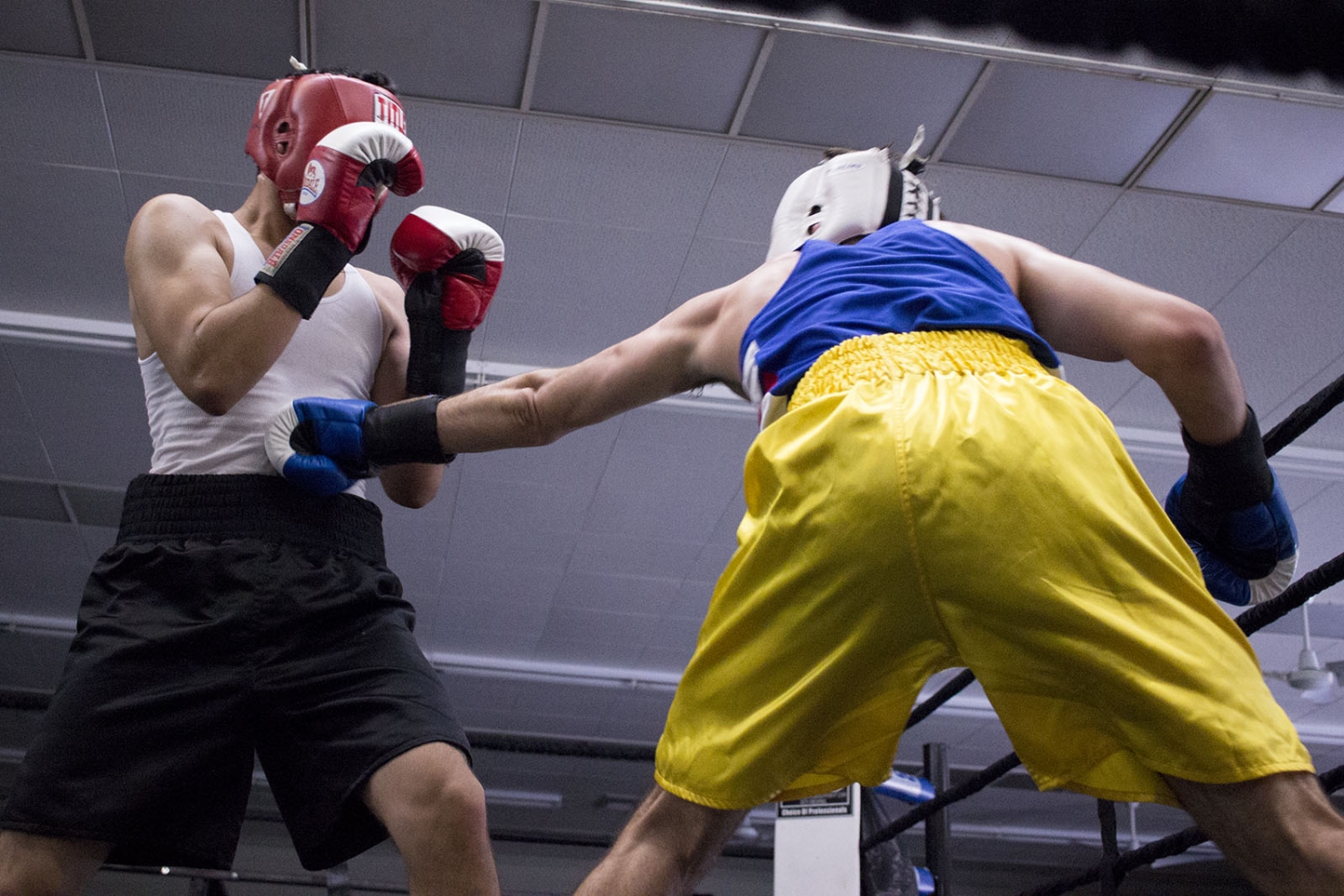 UCLA boxing at the 8th Annual Memorial Day Boxing Show - Daily Bruin