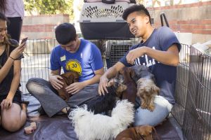 Web.ns.stressfreeday.AD.picB