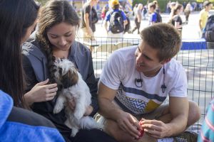 Maya MendezSean Babcock