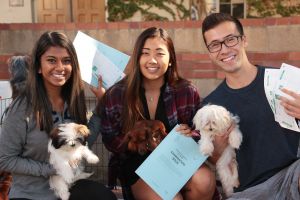 Web.ns.stressfreeday.SH.picG